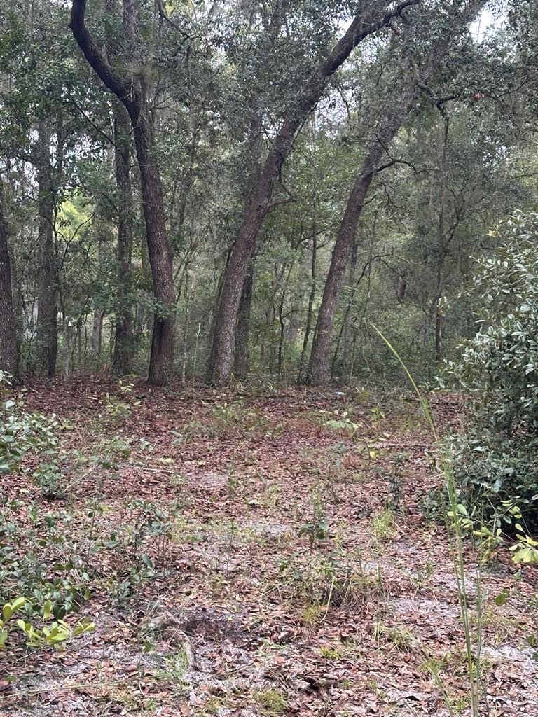 Land in Hawthorne, Florida