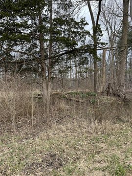 Residential Land in Allegan, MI