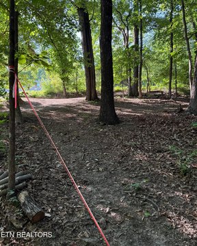 Residential Lot in Knoxville, TN
