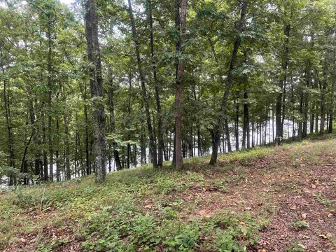 Heber Springs Waterfront Land