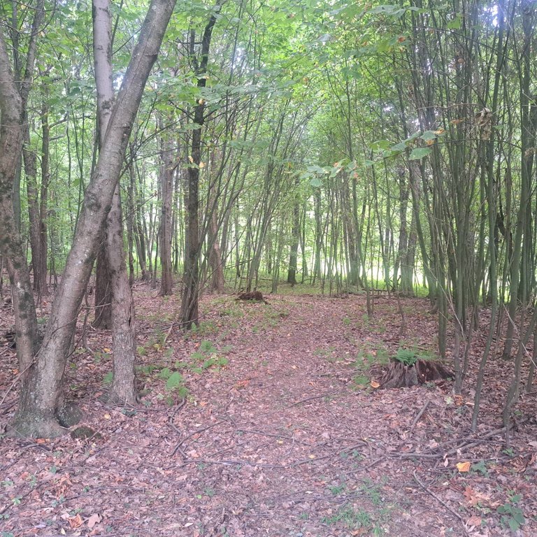 Picture 10