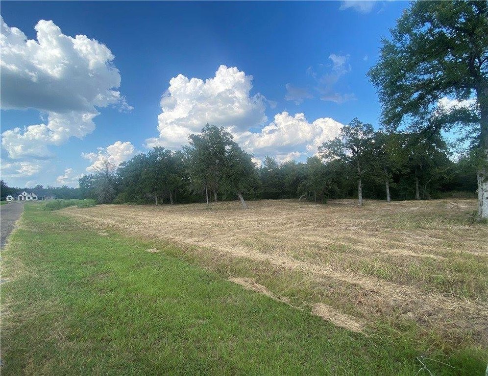 Picture 12