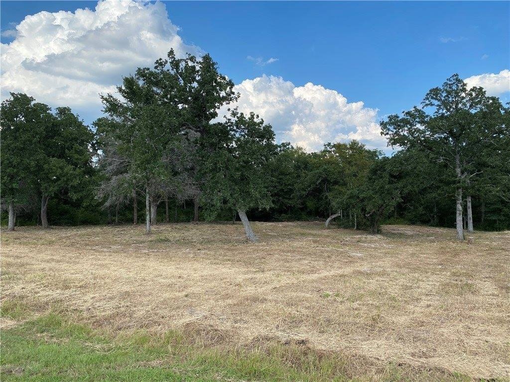 Picture 21