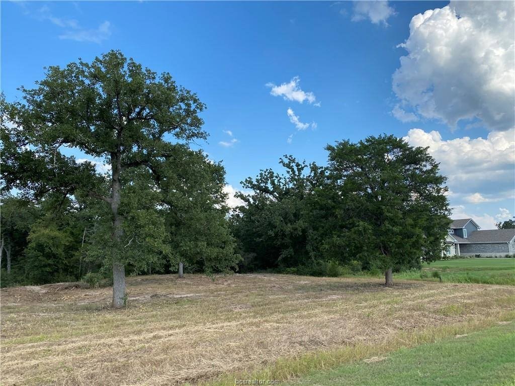 Picture 28