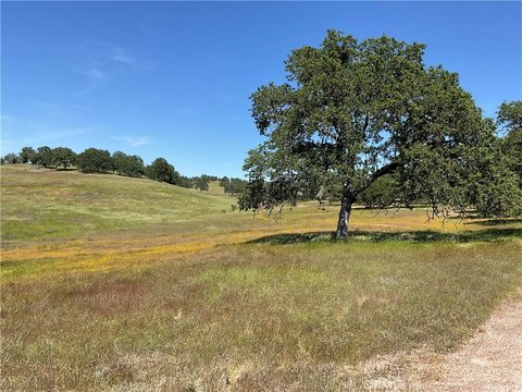 Agricultural Land Parcel