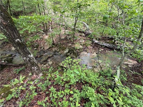 57 Acres Land in Bunch, OK