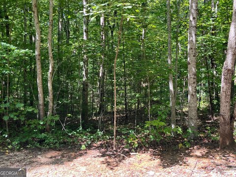 Land, Clayton, GA