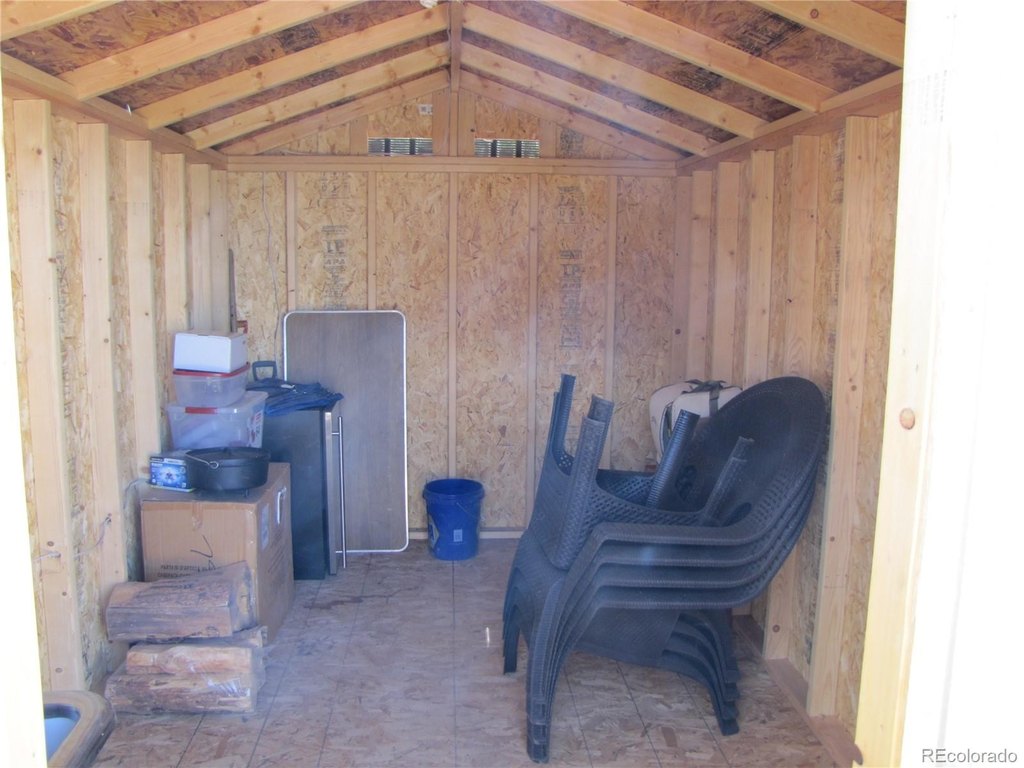 Picture 5