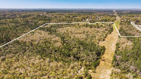 Spacious Crestview Land with Homes