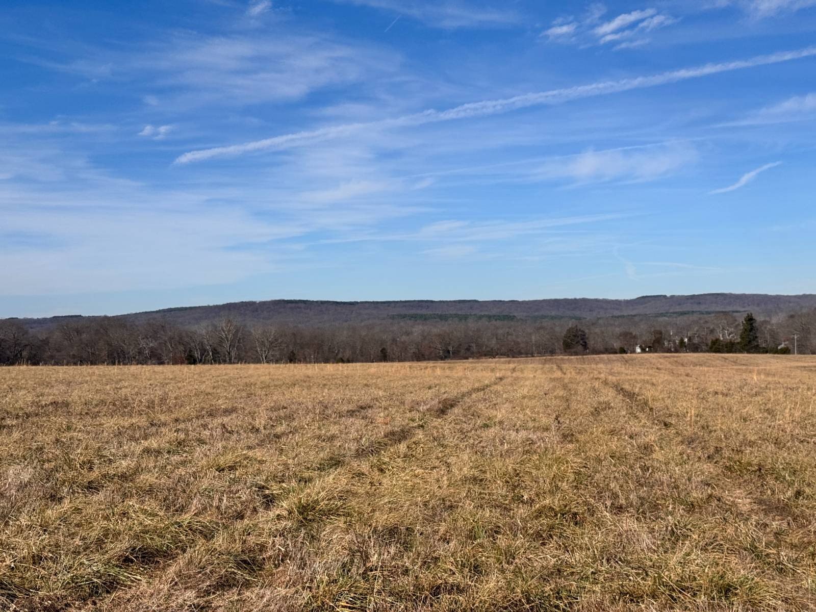 Land Near Golconda and Ohio River