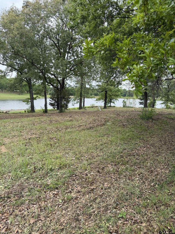 Picture 6