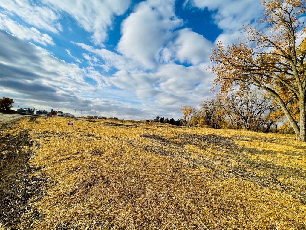 Picture 3