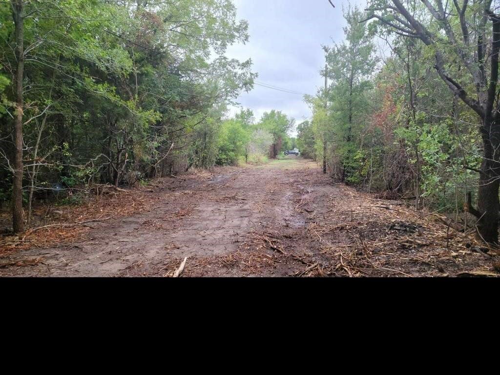 Picture 3