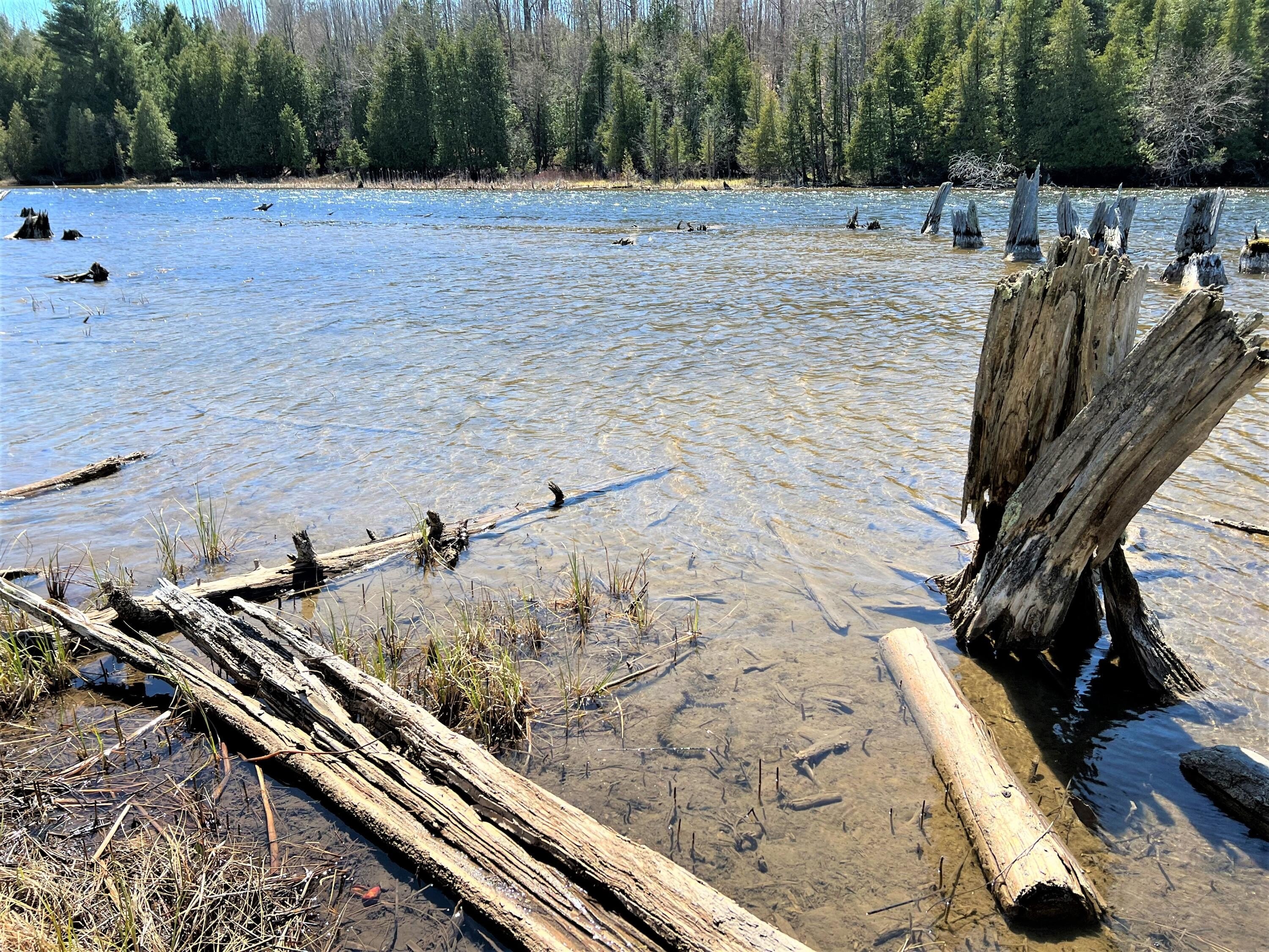 Waterfront Land on Black River