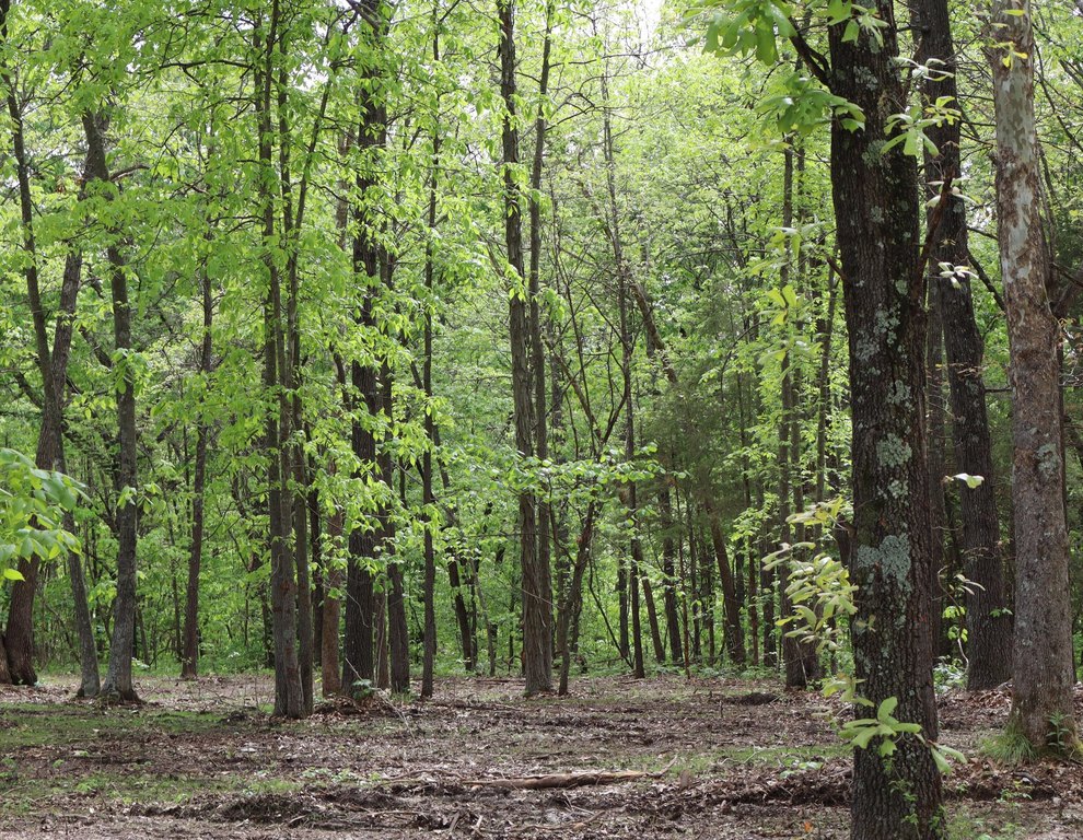 Picture 15