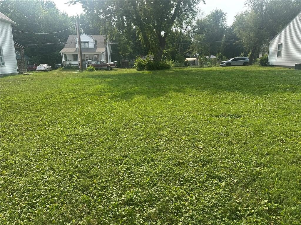 Picture 3