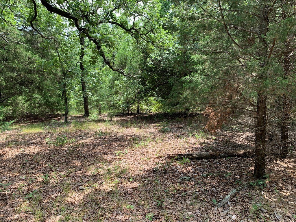 Picture 16