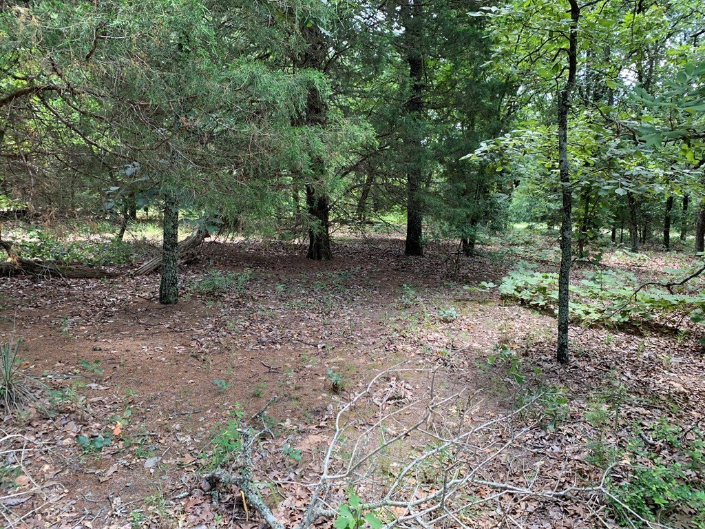 Picture 15