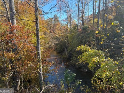 Dawsonville Land with Lake Views