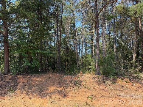 Land, Denver, NC