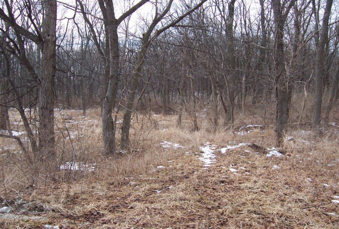 Picture 4