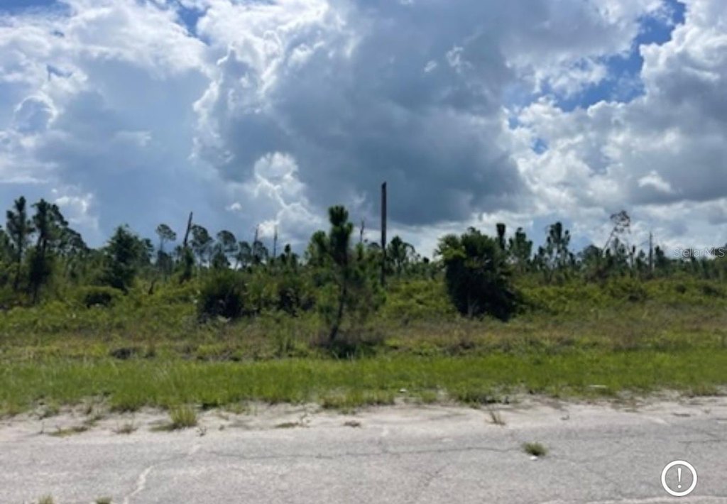 Picture 20