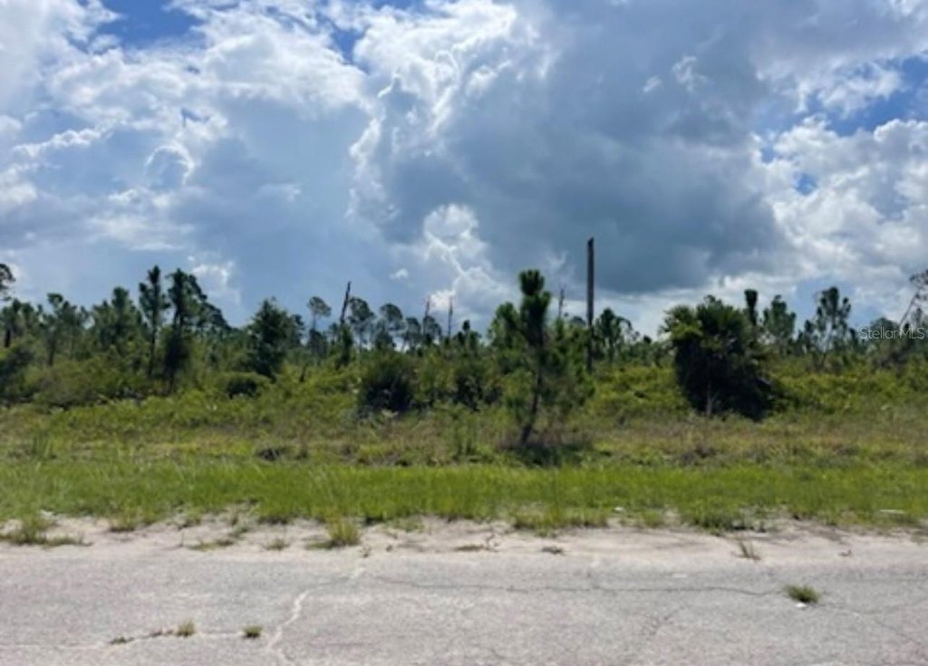 Picture 23