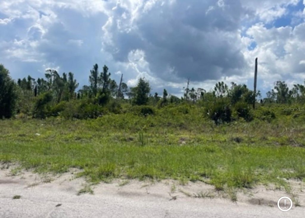 Picture 16