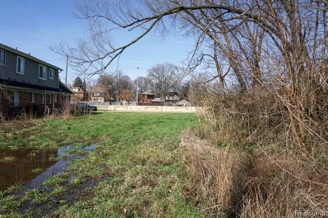 Picture 7