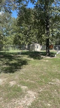Land, Livingston, TX