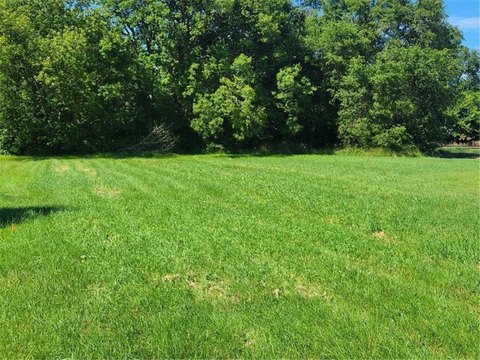 Residential Lot in Easton, MN