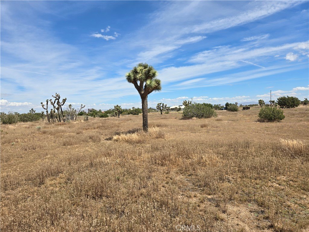 Spacious Oak Hills 5-Acre Parcel