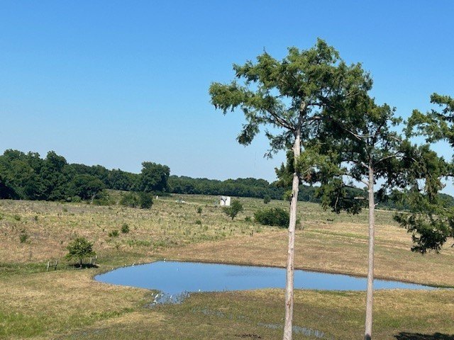 Picture 10