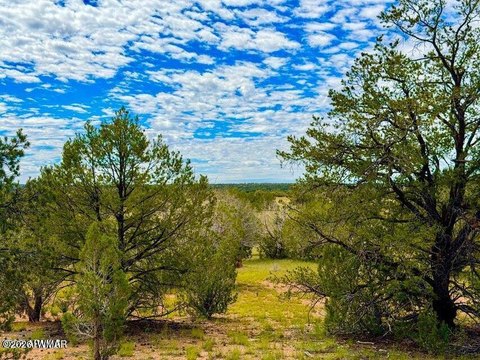 Land, Seligman, AZ