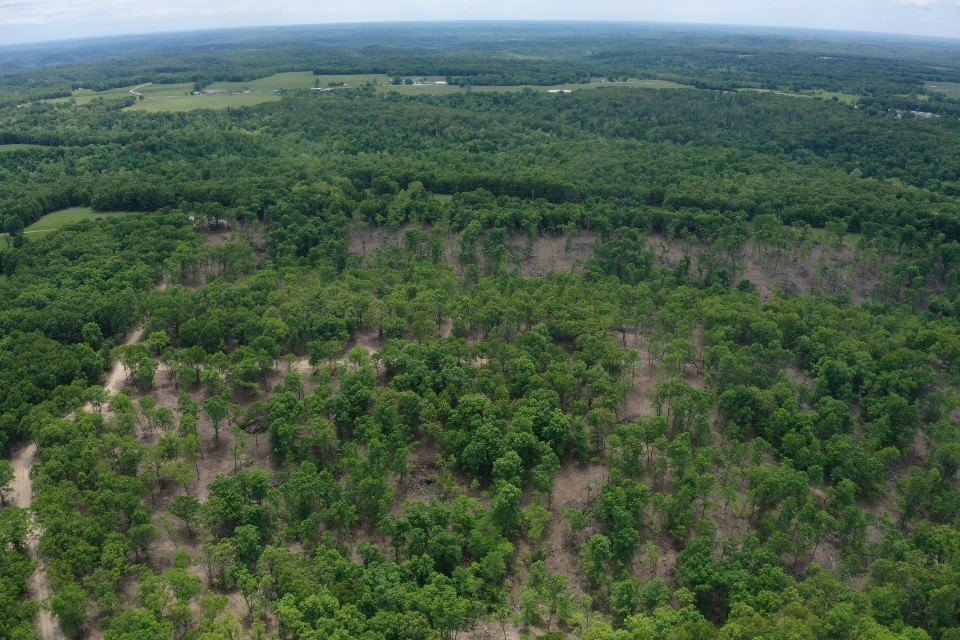 Secluded Timbered Land Near Lake