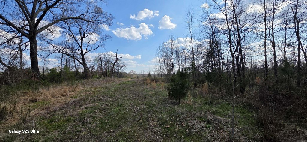 Picture 2