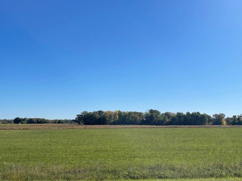 Land, Princeton, MN