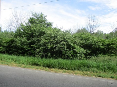 LAND - FENNVILLE, MI