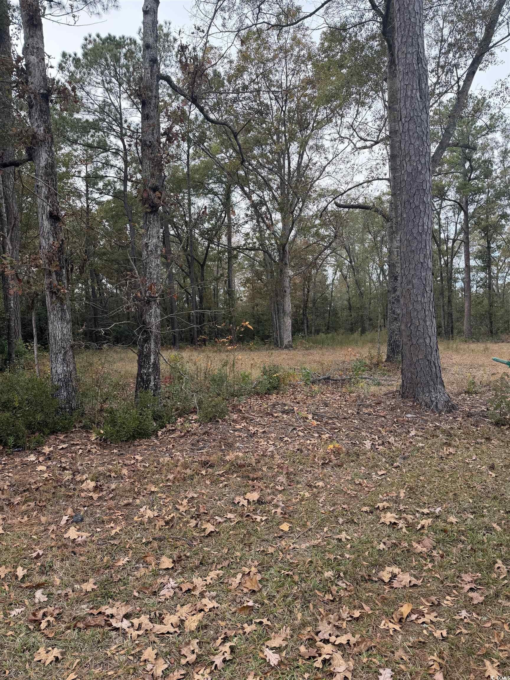 Cleared Lot in Johnsonville, SC