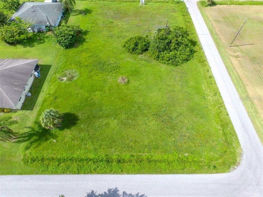 Picture 5
