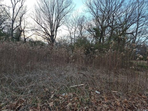 Residential Lot in Pine Bluff
