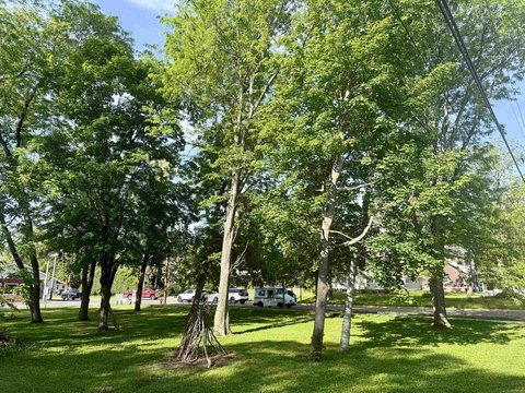 Baraboo Vacant Residential Lots