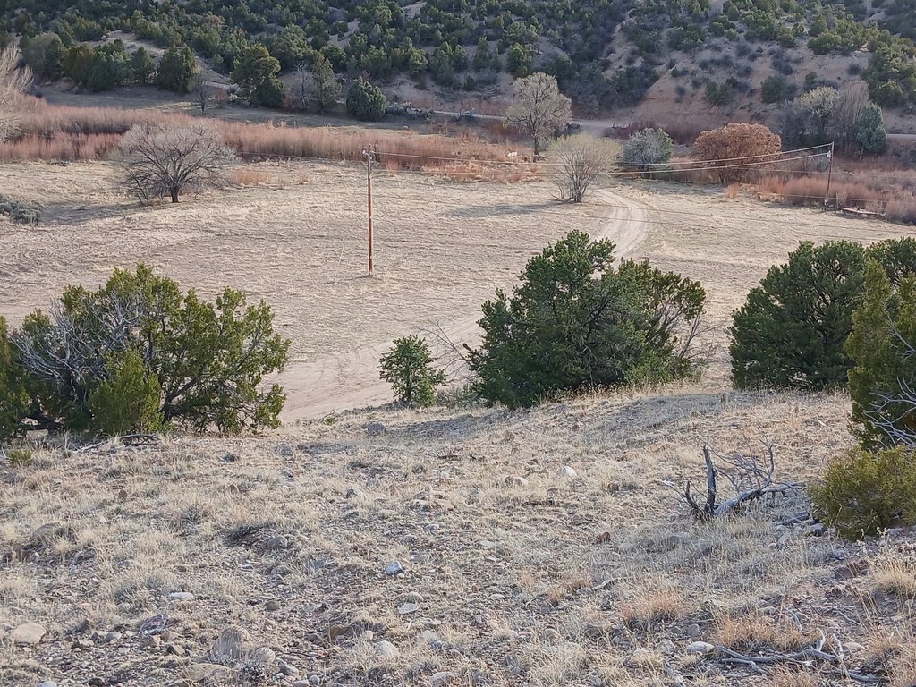 Picture 41