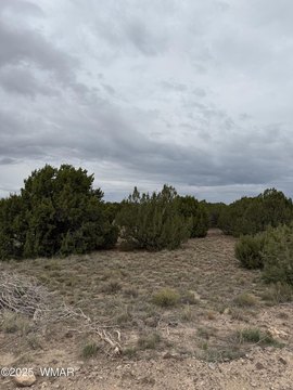 Land in Concho, Arizona
