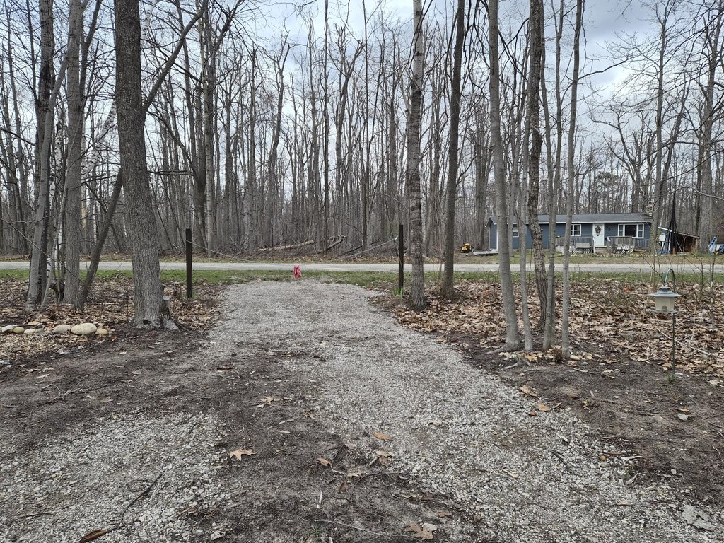 Picture 40
