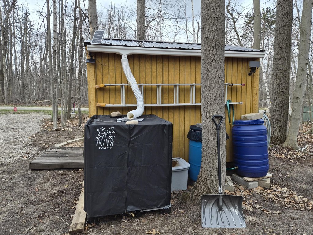 Picture 38