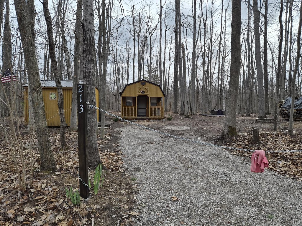 Picture 41