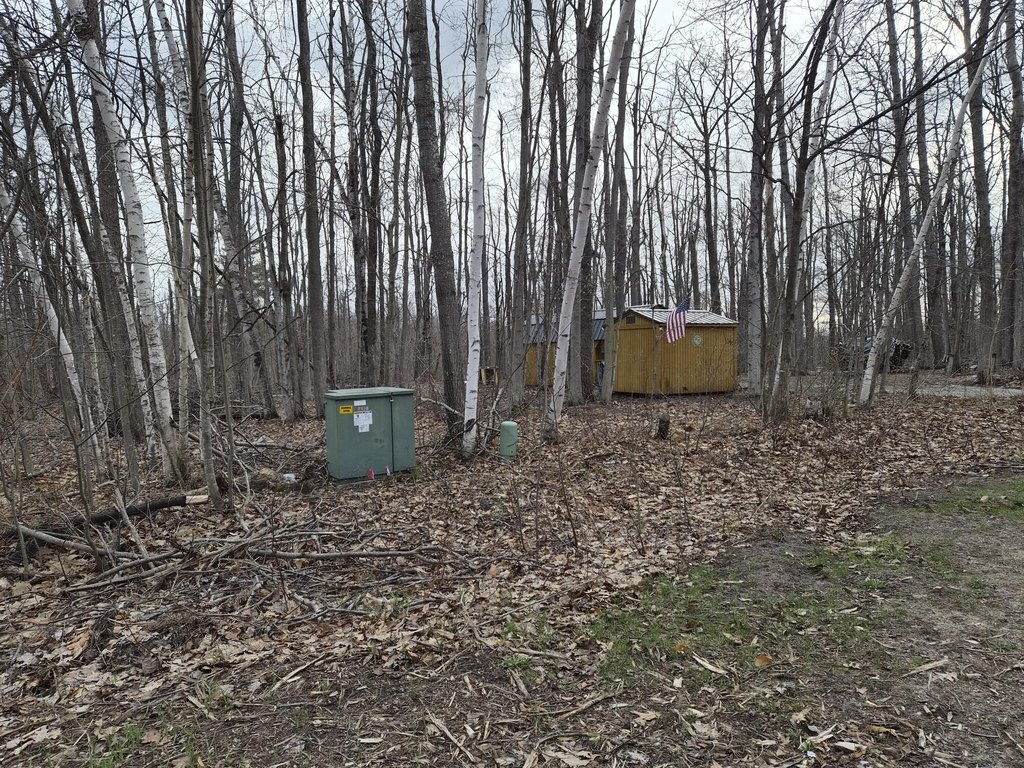 Picture 42