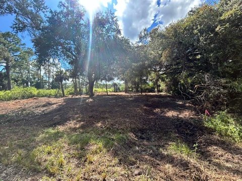 Buildable Lot in LaBelle, FL