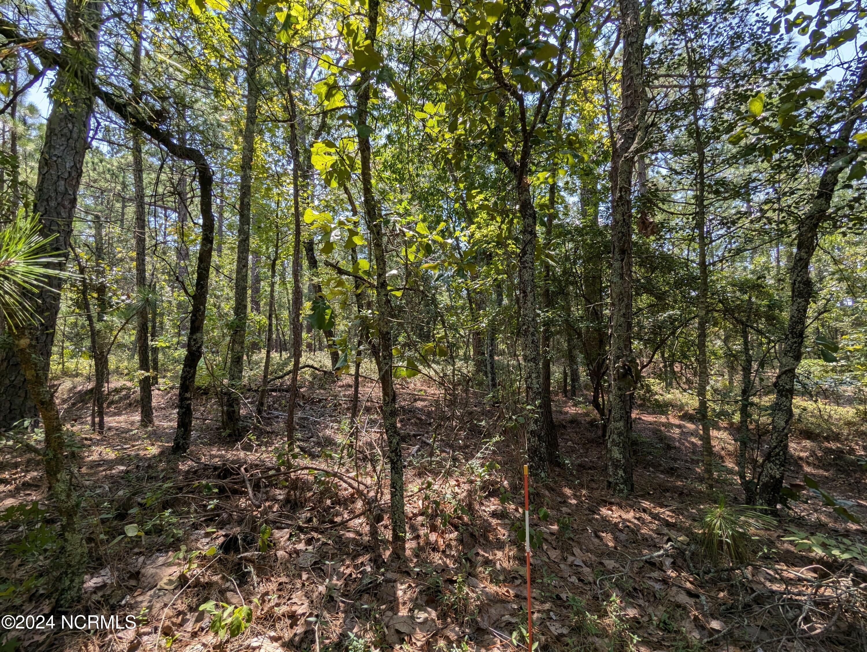 Golf Front Lot in Woodlake